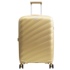 ANTLER Gold Luggage (1024px)